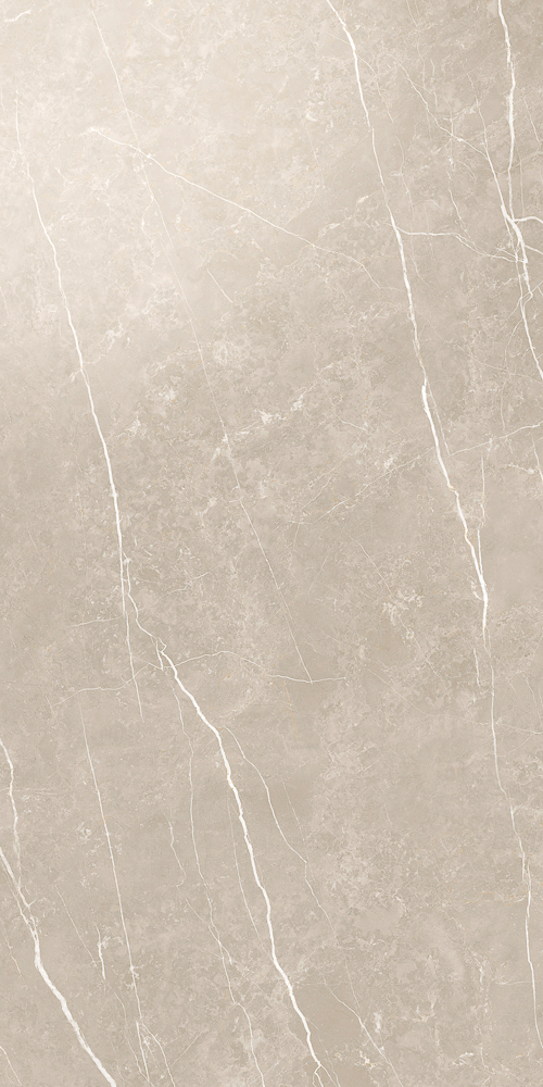 Glaciär Greige 60x120 polerad
