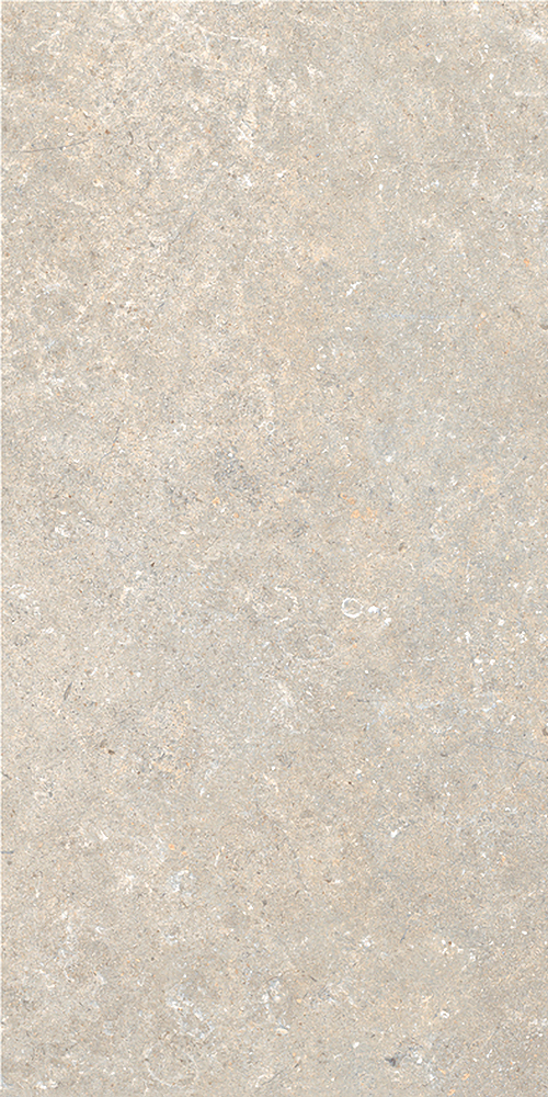 Umbria Fossil 30x60