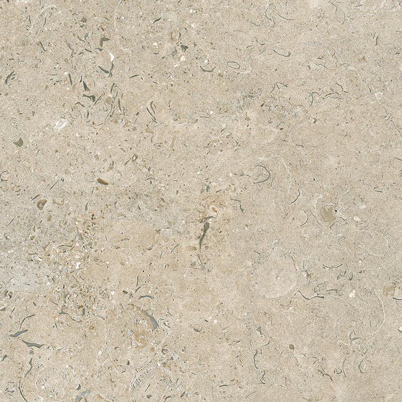 Fossil natural matt rect 59,5x59,5