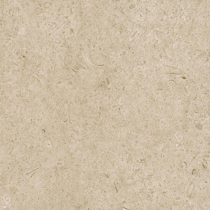 Eternal greige rect. 59,5x59,5